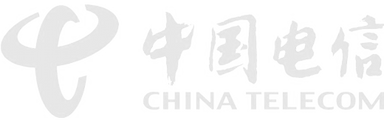 company